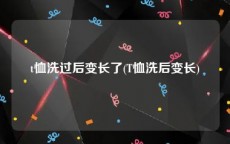 t恤洗过后变长了(T恤洗后变长)