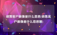 销售客户画像是什么意思(销售客户画像是什么意思啊)