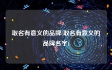 取名有意义的品牌(取名有意义的品牌名字)