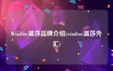 Windsor温莎品牌介绍(windsor温莎外汇)