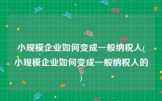 小规模企业如何变成一般纳税人(小规模企业如何变成一般纳税人的)