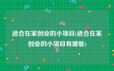 适合在家创业的小项目(适合在家创业的小项目有哪些)