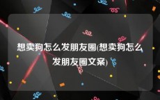 想卖狗怎么发朋友圈(想卖狗怎么发朋友圈文案)