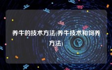 养牛的技术方法(养牛技术和饲养方法)