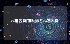 seo排名有用吗(排名seo怎么样)