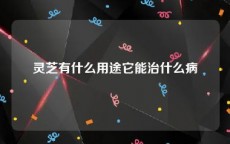 灵芝有什么用途它能治什么病