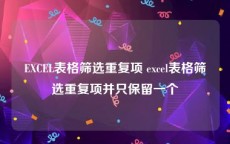 EXCEL表格筛选重复项 excel表格筛选重复项并只保留一个