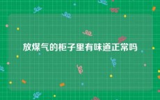 放煤气的柜子里有味道正常吗