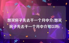 想买房子先去干一个月中介(想买房子先去干一个月中介可以吗)