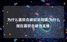 为什么善良会被说圣母婊(为什么现在善良会被当圣母)