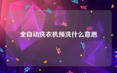 全自动洗衣机预洗什么意思