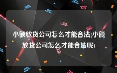 小额放贷公司怎么才能合法(小额放贷公司怎么才能合法呢)