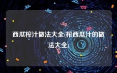 西瓜榨汁做法大全(榨西瓜汁的做法大全)