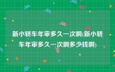 新小轿车年审多久一次啊(新小轿车年审多久一次啊多少钱啊)