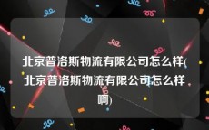 北京普洛斯物流有限公司怎么样(北京普洛斯物流有限公司怎么样啊)