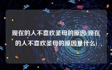 现在的人不喜欢圣母的原因(现在的人不喜欢圣母的原因是什么)