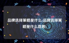 品牌选择策略是什么(品牌选择策略是什么意思)