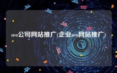 seo公司网站推广(企业seo网站推广)