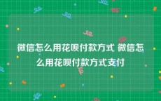 微信怎么用花呗付款方式 微信怎么用花呗付款方式支付