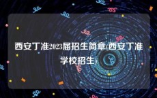 西安丁准2023届招生简章(西安丁准学校招生)