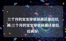 三个月的宝宝穿纸尿裤还是拉拉裤(三个月的宝宝穿纸尿裤还是拉拉裤好)