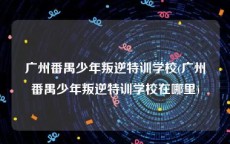 广州番禺少年叛逆特训学校(广州番禺少年叛逆特训学校在哪里)