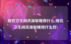 现在卫生间洗澡取暖用什么(现在卫生间洗澡取暖用什么好)