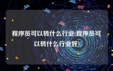 程序员可以转什么行业(程序员可以转什么行业好)