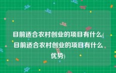 目前适合农村创业的项目有什么(目前适合农村创业的项目有什么优势)