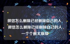 微信怎么删除已经删除自己的人 微信怎么删除已经删除自己的人一个个删太麻烦