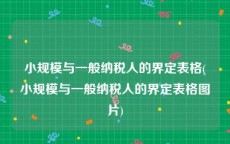 小规模与一般纳税人的界定表格(小规模与一般纳税人的界定表格图片)