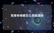 家里有蟑螂怎么彻底清除