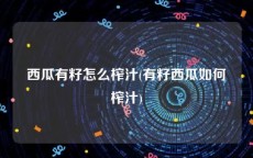 西瓜有籽怎么榨汁(有籽西瓜如何榨汁)