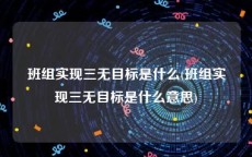 班组实现三无目标是什么(班组实现三无目标是什么意思)