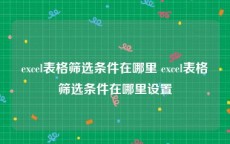 excel表格筛选条件在哪里 excel表格筛选条件在哪里设置