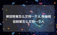 微信群里怎么艾特一个人 电脑微信群里怎么艾特一个人