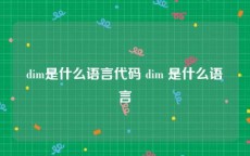 dim是什么语言代码 dim 是什么语言