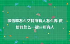 微信群怎么艾特所有人怎么弄 微信群怎么一键@所有人