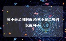 我不是圣母的说说(我不是圣母的说说句子)