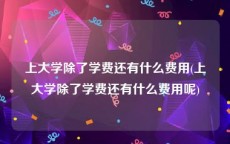 上大学除了学费还有什么费用(上大学除了学费还有什么费用呢)