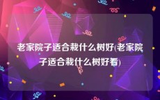 老家院子适合栽什么树好(老家院子适合栽什么树好看)