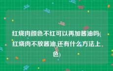 红烧肉颜色不红可以再加酱油吗(红烧肉不放酱油,还有什么方法上色)