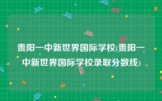 贵阳一中新世界国际学校(贵阳一中新世界国际学校录取分数线)