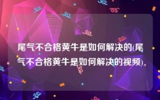 尾气不合格黄牛是如何解决的(尾气不合格黄牛是如何解决的视频)