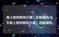 晚上榨的西瓜汁第二天能喝吗(头天晚上榨的西瓜汁第二天能喝吗)