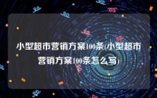 小型超市营销方案100条(小型超市营销方案100条怎么写)