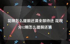 花呗怎么提前还清全部待还 花呗分12期怎么提前还清