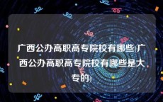 广西公办高职高专院校有哪些(广西公办高职高专院校有哪些是大专的)