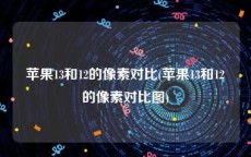 苹果13和12的像素对比(苹果13和12的像素对比图)