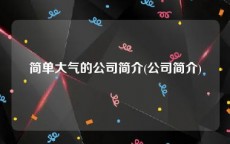 简单大气的公司简介(公司简介)